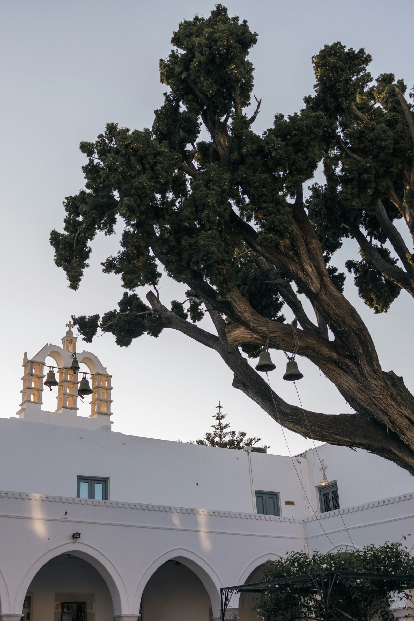 tobias-rademacher-bOhXBLMYUSE-unsplash